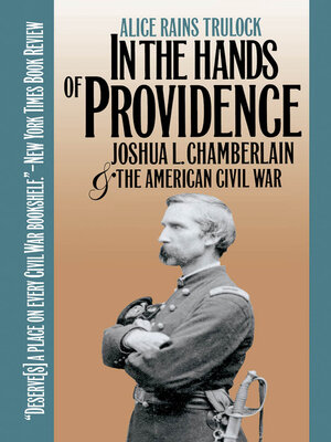cover image of In the Hands of Providence